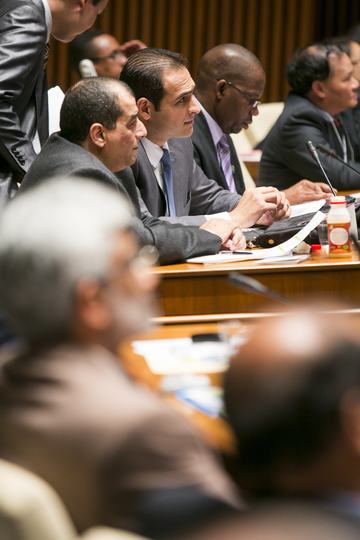 Prof. Mohamed Rami Mahmoud — World Bank engagement, Washington, United States, 2014
