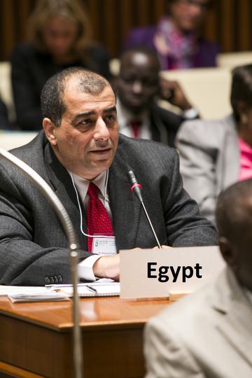 Prof. Mohamed Rami Mahmoud — World Bank engagement, Washington, United States, 2014