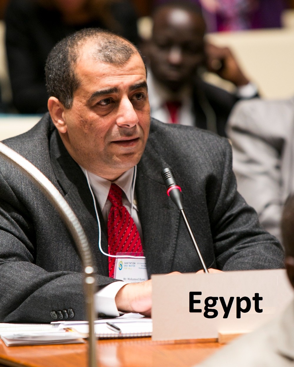Portrait of Prof. Mohamed Rami Mahmoud